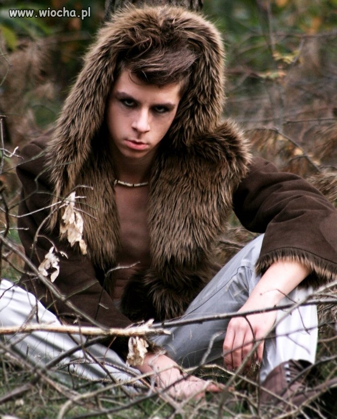 He's wolf