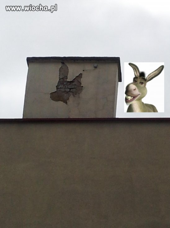 Cuda na kominie ... 