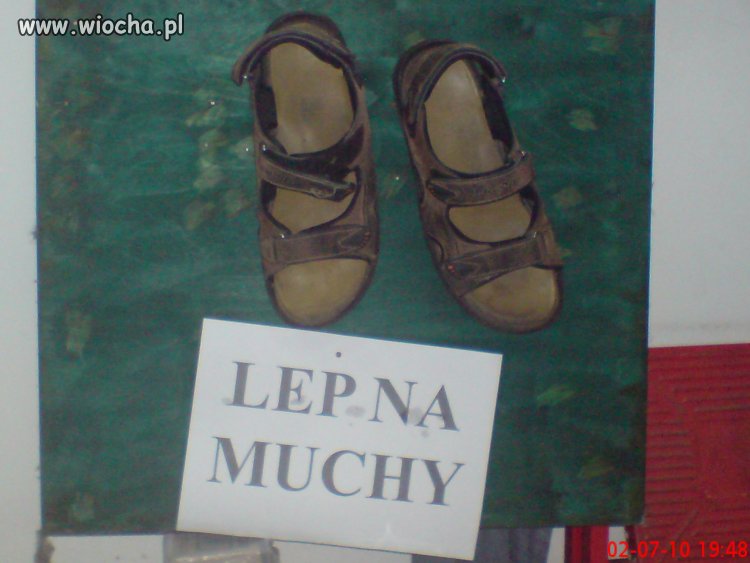 Lep na muchy