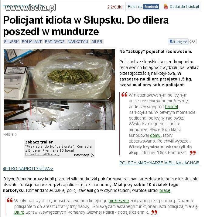 Pies też człowiek