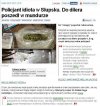 Pies też człowiek