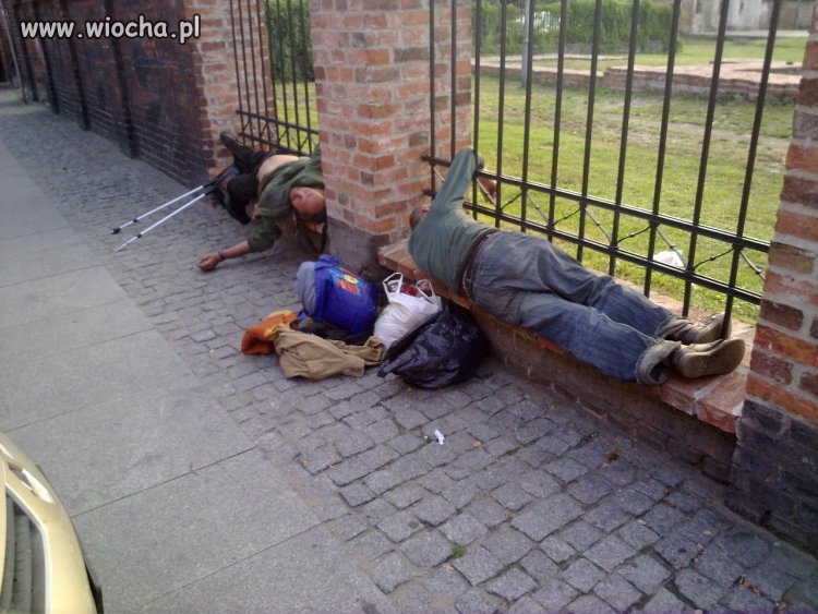 Żul le Parkour