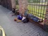 Żul le Parkour