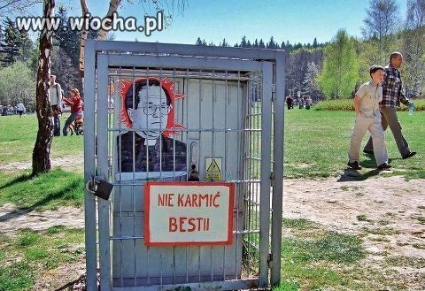 Czarna bestia