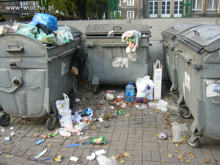 Wiocha.pl