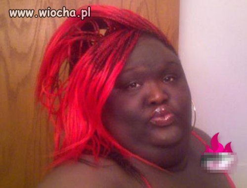 Sexowna lwica