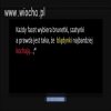 "Blądynki najbardziej Kochają"? 