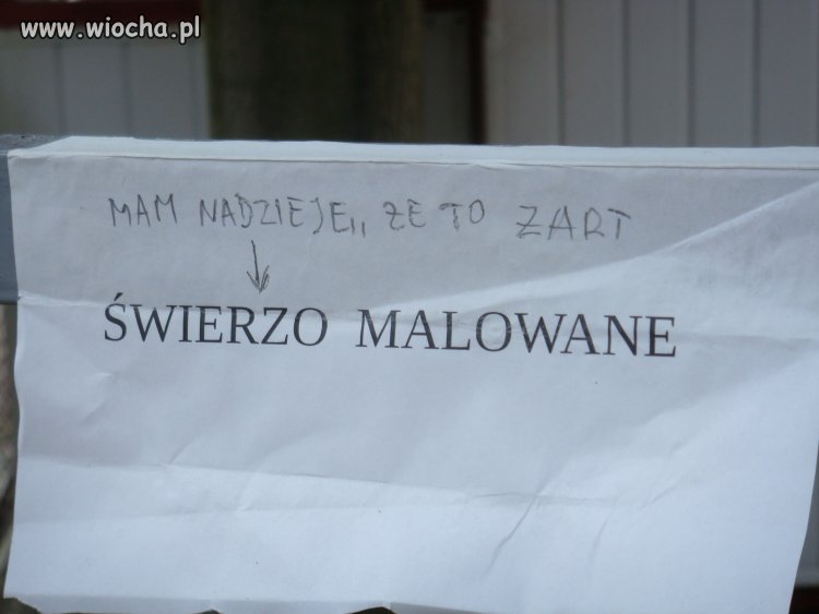 Wiocha nad morzem