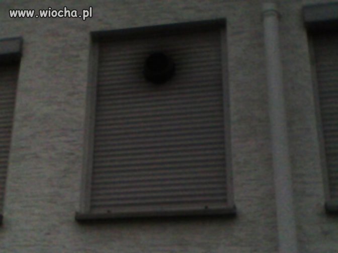 Niemiec potrafi