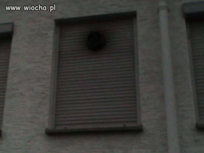 Niemiec potrafi