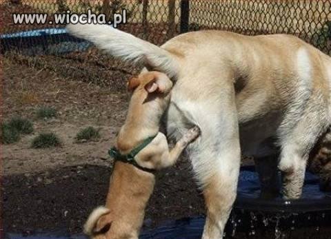Ciemność, widzę ciemność
