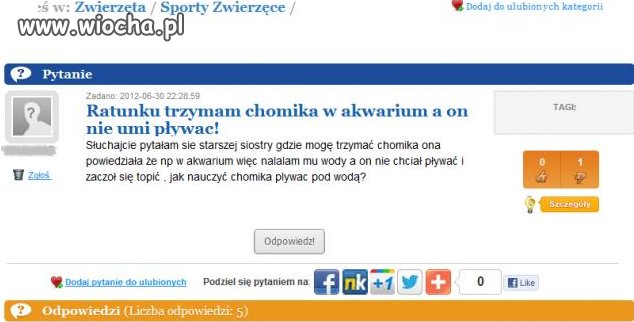 Są ludzie i parapety...