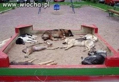 Kochanie idź pobaw się do piaskownicy