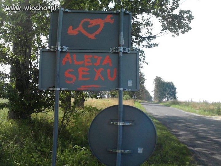 Aleja sexu 