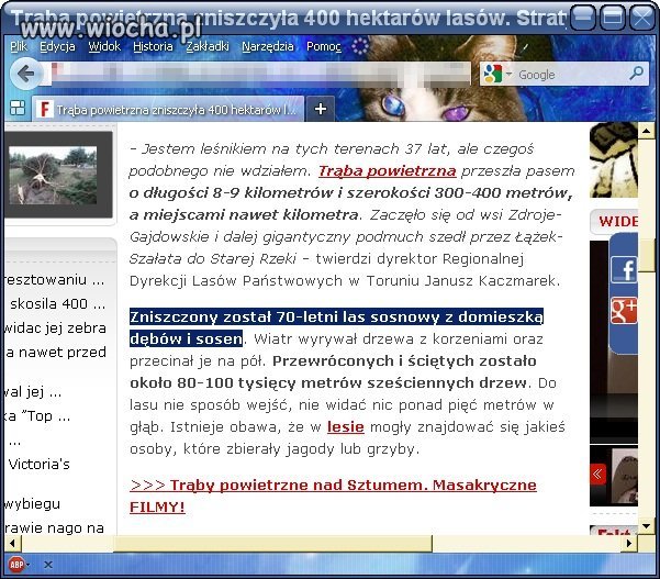 Las sosnowy z domieszką sosen