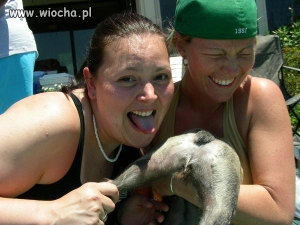 Czego jeszcze nie wymyślą ? 