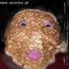 Nie ogarniam 