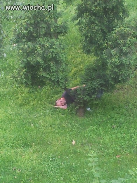 Zając
