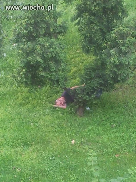 Zając