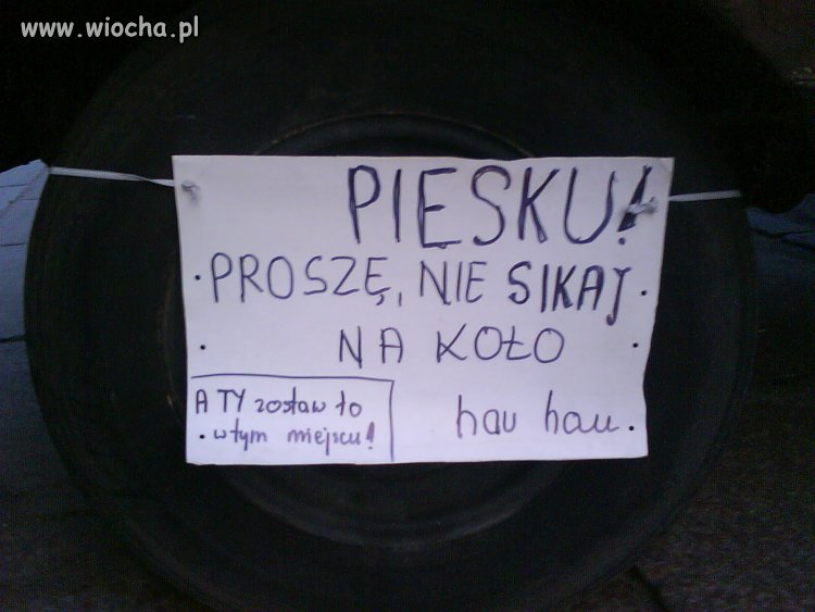 Jeny...