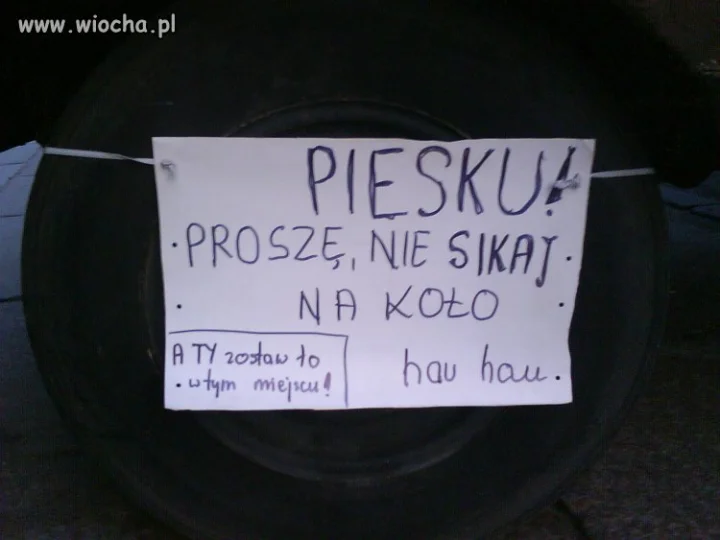 Jeny...