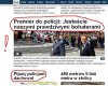 Ryży takich lubi