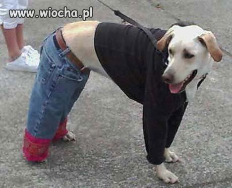 Lipa o czapce zapomniała