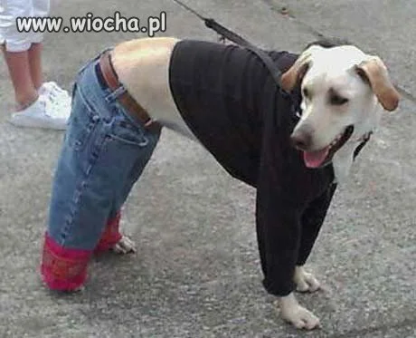 Lipa o czapce zapomniała