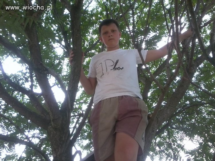 Takie tam JP na koszulce ...
