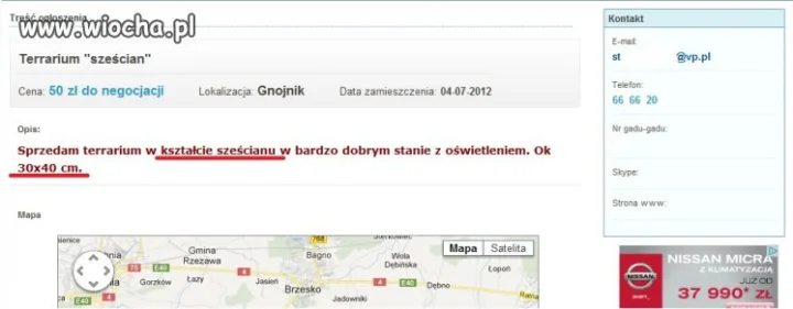 Nowe oblicze