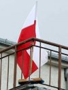 Co do drzewca to mam pewne zastrzeżenia