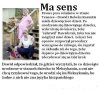 Na wszelki wypadek uczcie się Hiszpańskiego ! 