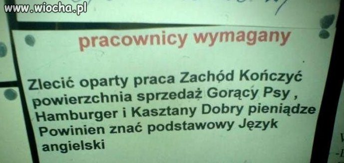 Jak nas widzą