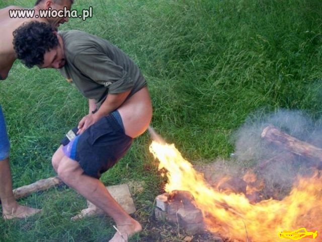 Smok wawelski jednak żyje