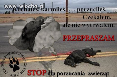To się nazywa przyjacielska miłość ...