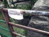 Świeżo malowane.