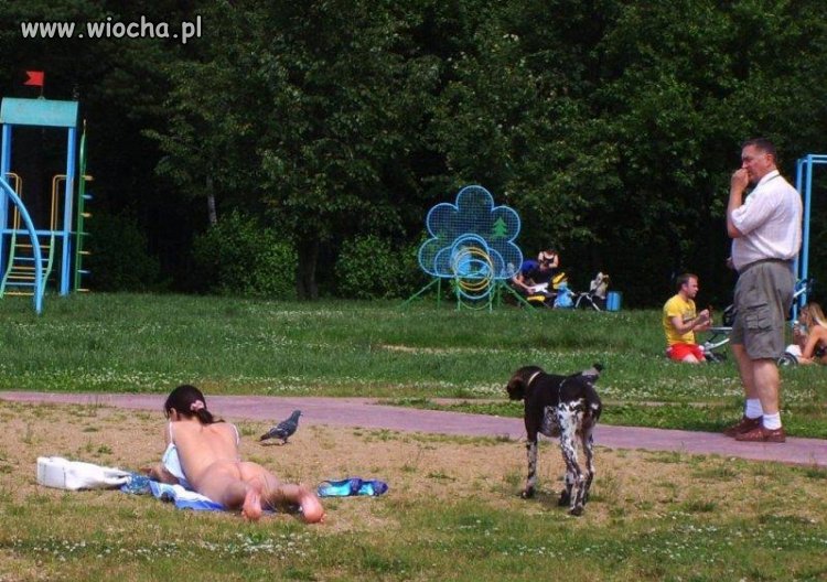 Pomyliła plac zabaw dla dzieci 