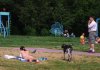 Pomyliła plac zabaw dla dzieci 