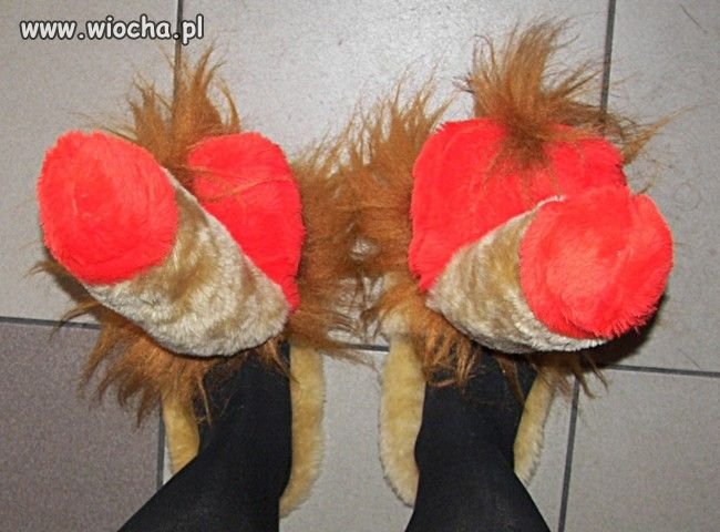 Ciepłe paputy