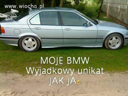"WyjaDkowy unikat"...Brakuje słomy na dachu 