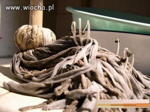 Kwitnący mop