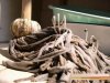 Kwitnący mop
