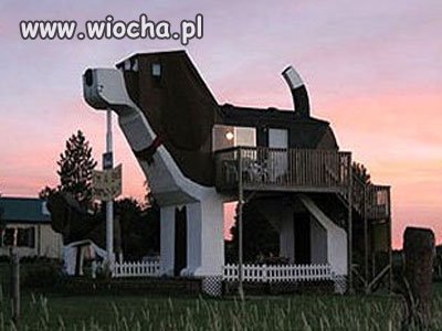 Może i ciasny 