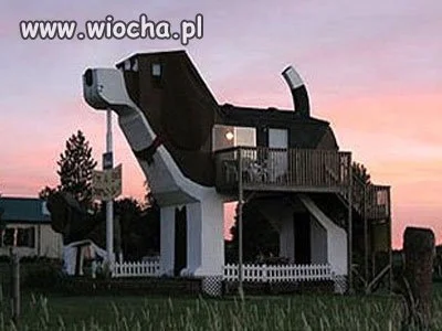 Może i ciasny 