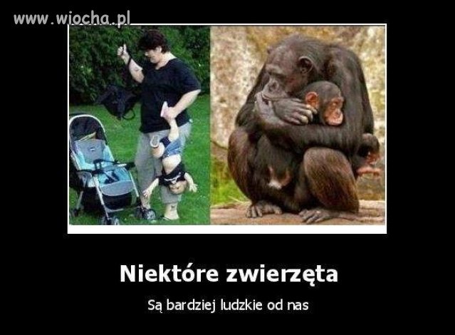 Cała prawda