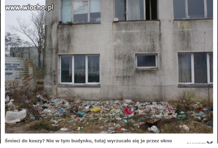 Kto z kim przystaje takim się staje...