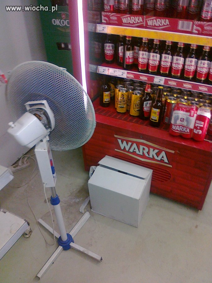 Tak się teraz chłodzi piwo 
