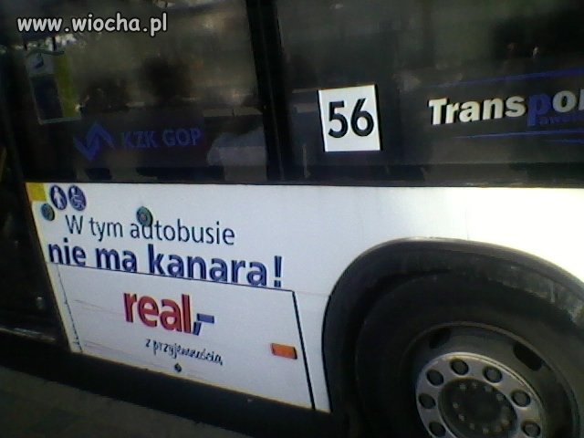 W tym autobusie nie ma kanara 