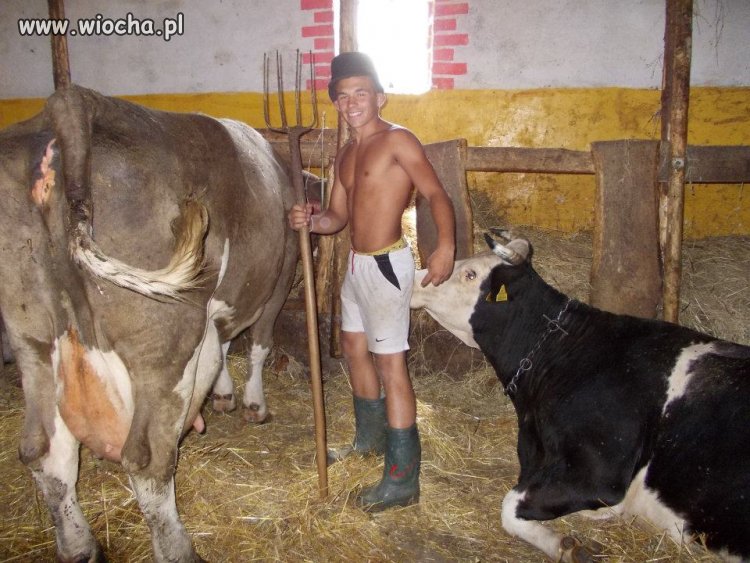 Krowie chyba smakuje..