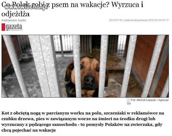 Zwierzęta nie mają wakacji...